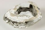 Fossil Clam with Fluorescent Calcite Crystals - Ruck's Pit, FL #191771-1